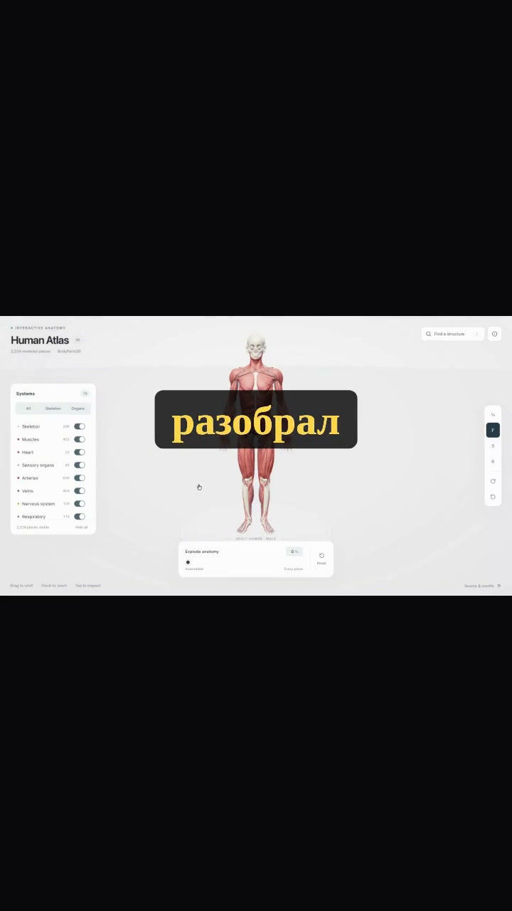 Наш клон: полноэкранная графика без человека в кадре